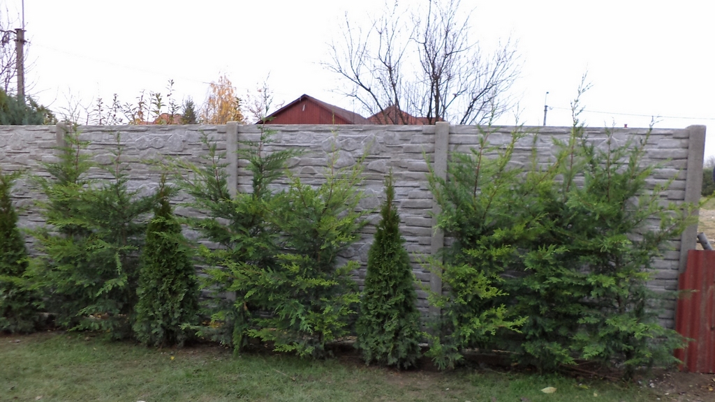 A9 Betonzaun, Betonzäune